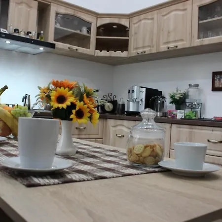 Ella No9 * Timişoara